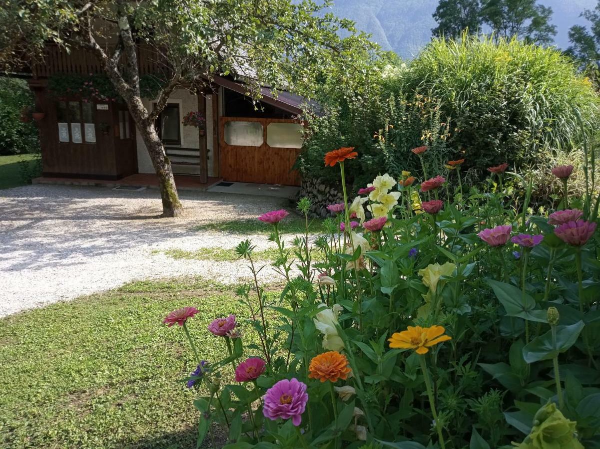 Holiday house Zeleni gaj Bovec Dış mekan fotoğraf